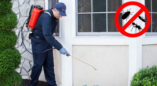 Döşemealtı Bit İlaçlama böcek ilaçlama ve haşere kontrolü — ilaclama-tr.com